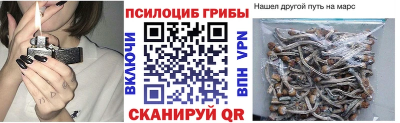 Псилоцибиновые грибы мицелий Чаплыгин